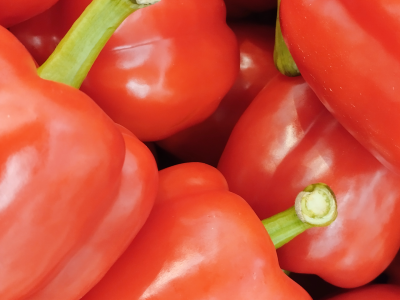 Pimentón Asti: color, sabor y rendimiento en tu huerta urbana