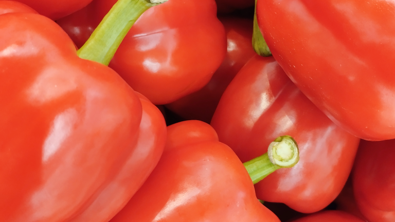 Pimentón Asti: color, sabor y rendimiento en tu huerta urbana