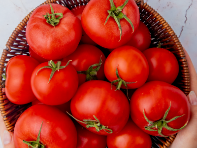 Tomate Cal Ace: producción abundante para huertas familiares