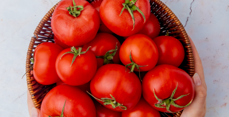 Tomate Cal Ace: producción abundante para huertas familiares